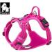 Truelove No Pull Dog Harness - Reflective Adjustable Soft Padded Pet Vest with Handle | TLH56512 XS Fuchsia - International Shipping - Buy Online on GoSupps.com