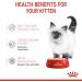 Royal Canin Kitten Instinctive Food in Loaf Wet Pouches 85g (Pack of 48) Variety 85 g (Pack of 12) - Buy Online on GoSupps.com