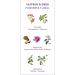 Shop Panier des Sens Anti-Aging Night Face Cream | Hyaluronic Acid & Saffron Extract | Natural Anti-Wrinkle Moisturizer Made in France - 1.7 oz - Buy Online on GoSupps.com