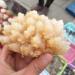 Crystal Rough Natural Crystal Rough Natural Stone Calcite Crystal Flow Raw Quartz Point Selenite Rough Crystal Cluster Calcspar Minerals Specimen - Buy Online on GoSupps.com