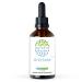 Artichoke B120 Alcohol-Free Herbal Extract Tincture, Concentrated Liquid Drops Natural Artichoke (Cynara scolymus) (4 fl oz) 4 Fl Oz (Pack of 1)