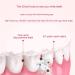 Sonic Electric Toothbrush - Rechargeable 5 Modes 2 Min Timer 2 Brush Heads Long-lasting Clean & Whitening - Buy Now (Black - Buy Online on GoSupps.com