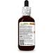 Psyllium (Plantago Ovata) Dry Seed Glycerite Made in Hawaii Organic Raw Materials All Natural Vegan Lab Tested Alcohol-Free Liquid Extract - 2 fl.oz 2 Fl Oz (Pack of 1) - Buy Online on GoSupps.com