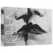 NARS Man Ray THE KISS Velvet Matte Lip Pencil Set - Limited Edition Collection - Buy Online on GoSupps.com