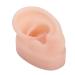 Human Ear Model Ear Display Silicone No Bubbles Simulated for Demonstration of Wearing Hearing Aids Shop Window Displays