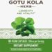 Buy Nature's Way Gotu Kola Herb Caps 180 ct - Premium Herbal Supplement for Mental Clarity & Cognitive Support - Fast Worldwide Shipping - Buy Online on GoSupps.com