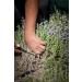 Organic Greek Thyme from Crete - 30g Dried Leaves for Cooking and Seasoning - Buy Online on GoSupps.com