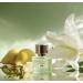 Pear Blossom Eau de Parfum 1.7 oz - Buy Online on GoSupps.com