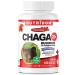 Nutridom Chaga Mushroom Supplement 20x Extra Strength Provides Antioxidant Non-GMO Vegan Free of Gluten Egg Wheat Soy Corn and Dairy (120 Veggie Capsules)