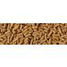 Tetra Wheatgerm Pond Fish Food Sticks 1.4kg - for cold weather feeding Fish 7 l (Pack of 1) - Buy Online on GoSupps.com