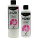 Jo Sonja Clear Glaze Medium - 16oz Bottle | Professional Finish for Artists - Buy Online on GoSupps.com