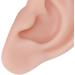 Flexible & Reusable Silicone Ear Model - 1 Pair Medium Skin Color for Ear Piercing Practice - Buy Online on GoSupps.com