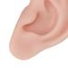 Soft Silicone Ear Model for Earrings Display Flexible Artificial Ear for Piercing Practice | 1 Pair (Medium Skin Color) - Buy Online on GoSupps.com