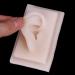 Soft Silicone Right Ear Model for Acupuncture | 1-Piece Educational Study Tool - International Shipping - Buy Online on GoSupps.com