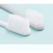 Zumaha Compact Toothbrush 12-Pack | Ergonomic Small Head Design for Adults Pregnant Women & Teens | Ideal Travel Manual Toothbrushes - Buy Online on GoSupps.com