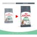 Royal Canin Digestive Comfort Cat Food 2 kg - Supports Digestive Health - Buy Online on GoSupps.com