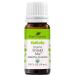 Plant Therapy KidSafe Organic Shield Me Essential Oil Blend 10 mL (1/3 oz) 100% Pure Undiluted Therapeutic Grade