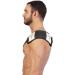 Globus Magnum XL Pro - Advanced Magnetotherapy Device with 46 Programs for Musculoskeletal Health | International Shipping - Buy Online on GoSupps.com