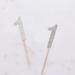XOXOKristen 1st Birthday Cupcake Toppers in Silver Glitter First Birthday Number One Cupcake Picks for Boy and Girl 1st Birthday Party Cake Decorations Supplies food picks muffins - 24 Pack - Buy Online on GoSupps.com