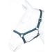 Buy RL24 - Dark Green Nylon Halter BASICLINE for Ponies | Durable & Stylish Equestrian Gear - Buy Online on GoSupps.com