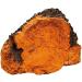 USDA Organic Chaga Mushroom Concentrate 60 Organicaps - Organic New Immune Health Support Supplement - Works Better than tablets Liquids or Teas - All Natural Plant Extract with No Side Effects - Ultra Premium Supplement - No Binders Nothing Artificial - Buy Online on GoSupps.com