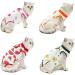 Tineer 2 Packs Pet Surgical Recovery Suit E-Collar Alternative for Cats Abdominal Wounds After Surgery Wear for Kittens Physiological Clothes (S Red + Orange) S Red + Orange - Buy Online on GoSupps.com