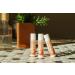 True Moringa Lip Balm | Intense Hydration for Dry Lips | 100% Vegan Paraben & Sulfate Free Ethically Sourced - Buy Online on GoSupps.com