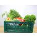 Obstprofi24 Classic Vegetable Box - Fresh Seasonal Salad & Veggies Delivered Internationally - Buy Online on GoSupps.com