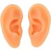 Soft Silicone Human Ear Model Set for Acupuncture Practice - 2 Pieces, Clear Structure - Ideal for Hospitals - Buy Online on GoSupps.com