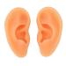 Ear Model 2pcs Silicone Ear Model Acupuncture Ear Models Soft Highly Simulated Artificial Display Ear Model Samples Widely Used Acupuncture Ear Model for Hospital Doctor Training Jewelry Education