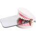 Uziah Dental Intraoral Mirror - Coated Glass Photography Mouth Mirror for Clinics & Dentists - Buy Online on GoSupps.com