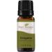Plant Therapy Oregano Essential Oil 100% Pure, Undiluted, Natural Aromatherapy, Therapeutic Grade 10 mL (1/3 oz) Oregano essential oil 0.33 Fl Oz (Pack of 1)