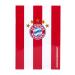 FC Bayern Munich homework book notebook notebook FCB
