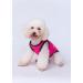 3-Pack Dog Clothing | Princess & Prince T-Shirts for Cats & Small to Medium Dogs - Cute Costumes - Buy Online on GoSupps.com