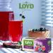 Loyd the Magic Experience Forest Fruit Flavoured Fruit Tea 40g | 20 Tea Bags | Poland Tea Brand | Tea Bags Individually Wrapped | Tea for Every Guest (Forest Fruit 2 Pack) Forest Fruit 2 Pack - Buy Online on GoSupps.com