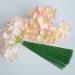 Enajucy 100 pcs 10 Inch Plastic Floral Stem Wire for DIY Artificial Flower Arrangements - Buy Online on GoSupps.com