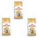 Royal Canin Maine Coon Complete Adult Dry Cat Food 3 x 400g