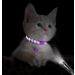 Taglory Reflective Cat Collar with Safety Clasp & Bell | Adjustable 2-Pack for Kittens & Cats (15-20cm) - Purple - Buy Online on GoSupps.com