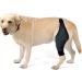 DOITOOL Paw Knee Knee Pads Dog Leg Brace Dog Back Dog Injured Leg Cover Front Legs Rear Bracket Puppy M 1 - Buy Online on GoSupps.com