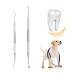 Schecker tartar remover set 2-part in dentist quality for dogs cats and pets mini execution for tartar removal
