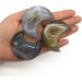 Natural Agate Geode Moon Shaped Crystal Cluster Half Moon Agate Geode Carved Crystal Stones Reiki Natural Stones and MineralsCrystal Stone Crystal Reiki - Buy Online on GoSupps.com