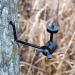 HME Products Economy Trail Camera Holder - Olive, 6.50x5.24x1.38 - Buy Online on GoSupps.com