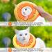 Frienda 2-Piece Adjustable Cat Cone Collar Set | Soft Recovery Collar for Cats and Small Dogs | Orange & Watermelon Design - Buy Online on GoSupps.com