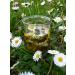 Buy Organic Daisy Oil 60ml - 100% Pure Essential Oil in Glass Bottle - Fresh Flowers Manelya - Imported from France - Buy Online on GoSupps.com