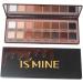 FRCOLOR 2pcs 16 Earth Eyeshadow 16 Colors Eyeshadow Palette Eye Shadow Chocolate Blush 1 count (Pack of 1) Chocolatex2pcs - Buy Online on GoSupps.com