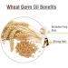 Wheat Germ Essential Oil 100% Pure & Natural - Undiluted Uncut Cold Pressed Aromatherapy Premium Oil - Therapeutic Grade - 100 ML Wheat Germ 100 ml (Pack of 1) - Buy Online on GoSupps.com