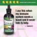 Echinacea Root Extract 1000 mg - Alcohol-Free, 4 fl oz | Nature's Answer - Buy Online on GoSupps.com