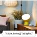 Amazon Smart Plug  for home automation  Works with Alexa - A Certified for Humans Device - Buy Online on GoSupps.com