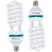 2pcs 135W Light Bulb 5500K CFL Daylight Spiral Softbox Lighting Kit Bulb in E27 Socket for Photography Photo 2 Count (Pack of 1)