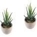 MAGICLULU 2pcs Faux Plant Simulation Plant Small Succulent Plants Home D cor Succulent Simulation Succulents Arrangements Suculentas Artificial Plants Decorative Plants Mini Cactus - Buy Online on GoSupps.com